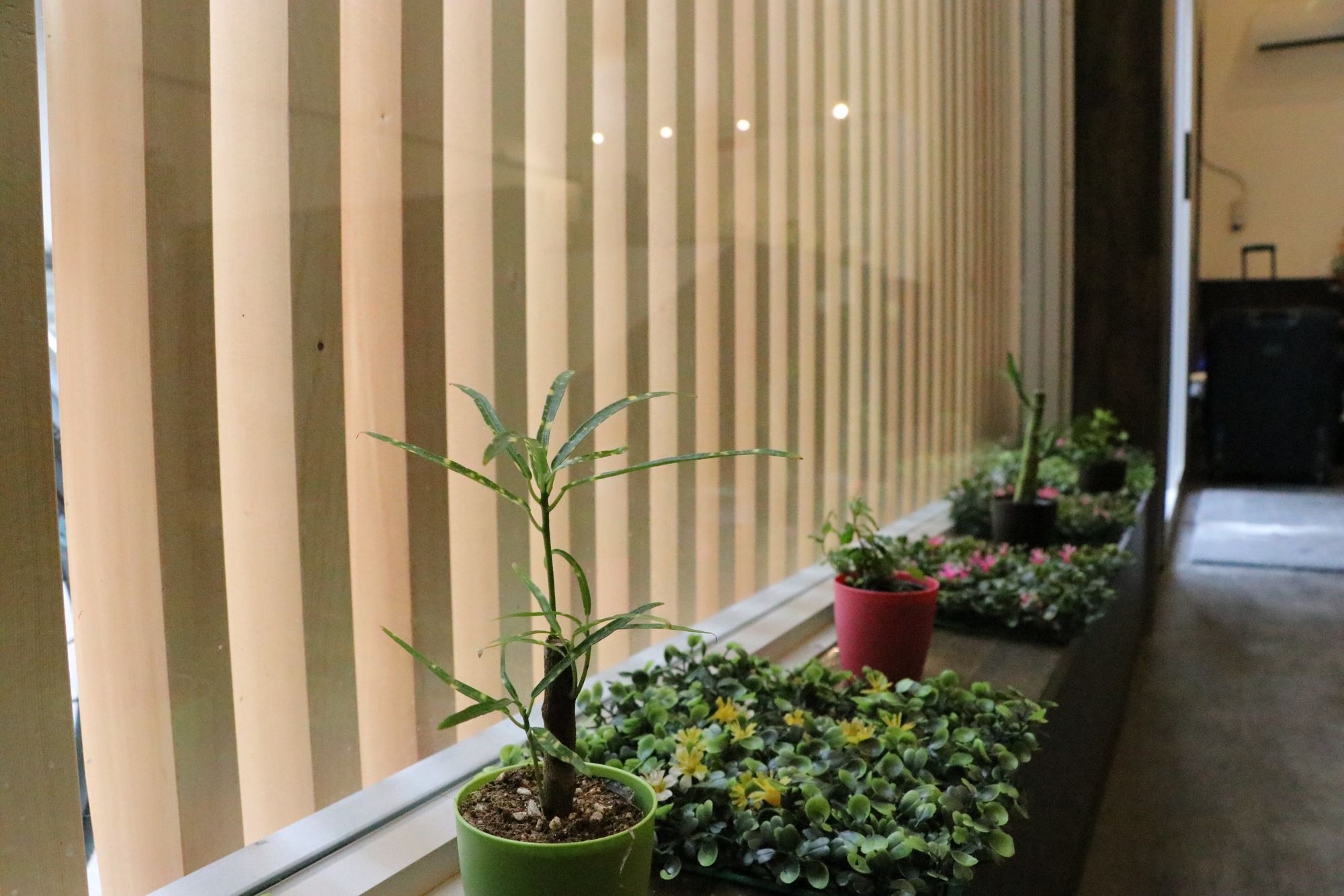 Lore Hostel Dotonbori Osaka Zewnętrze zdjęcie